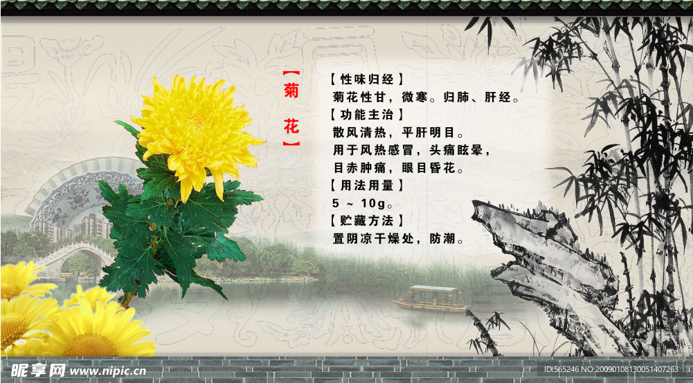 菊花