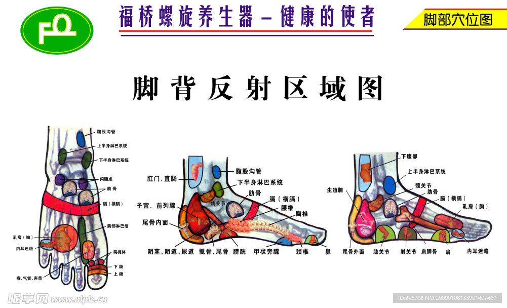 脚背