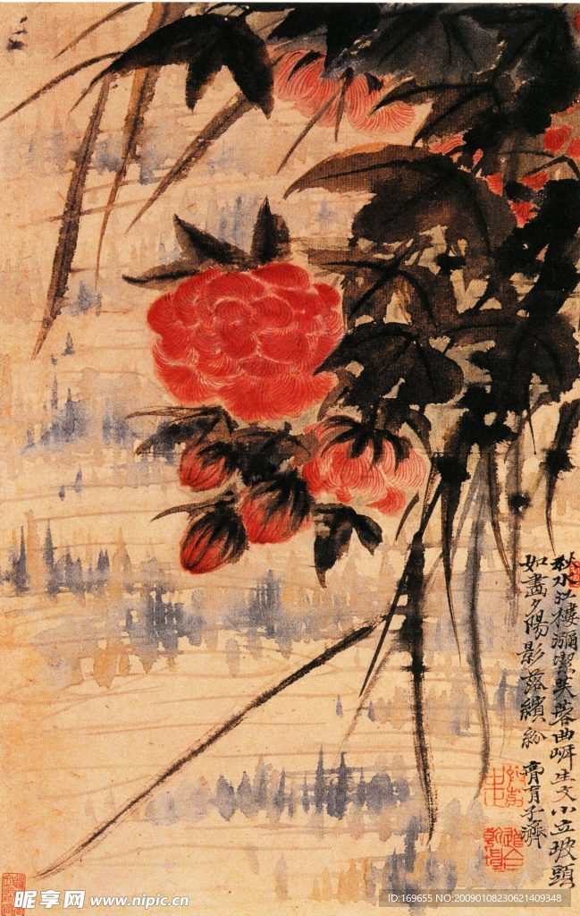 牡丹
