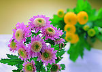 花艺摆设