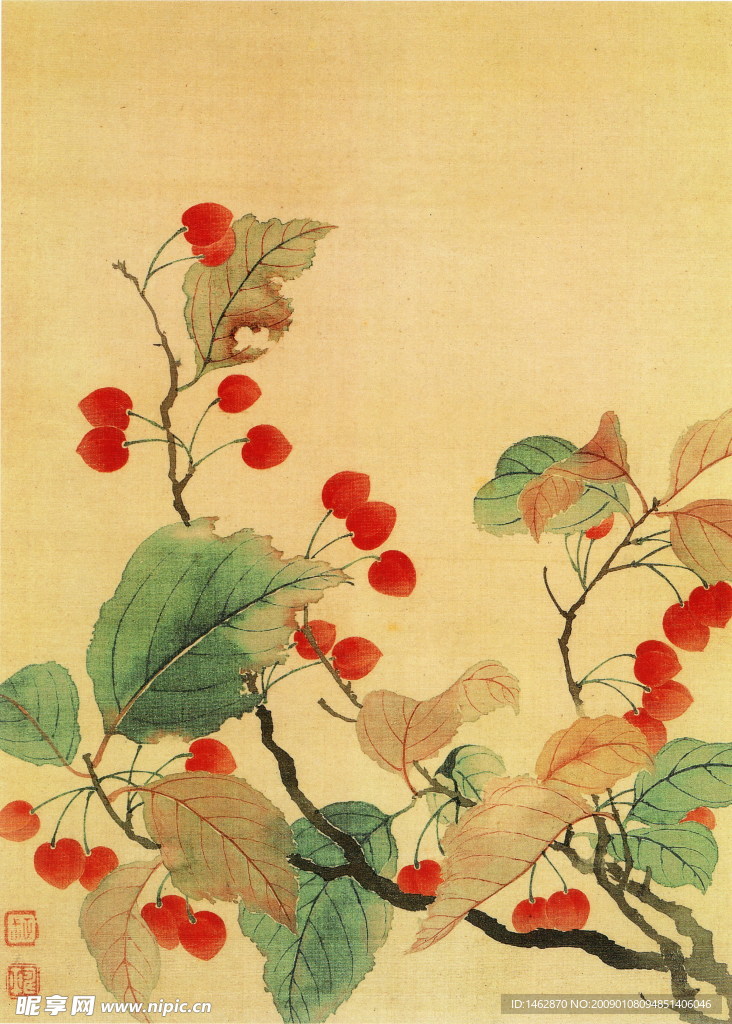 点点红樱