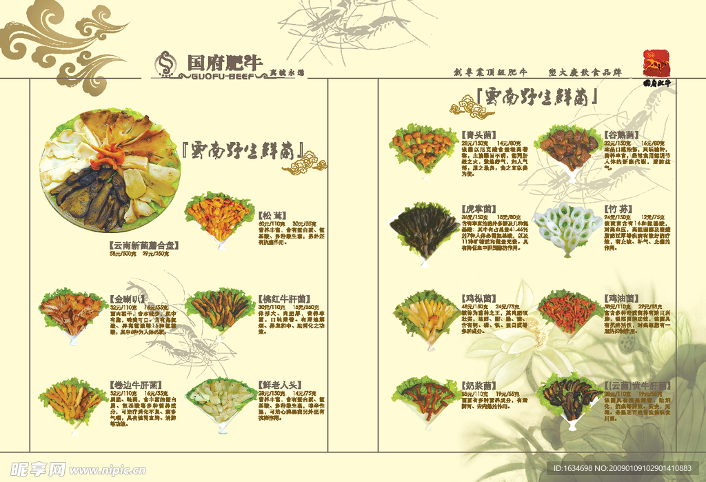 肥牛菜排内页