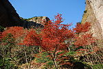 雁荡山美景