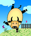 cenny cattle