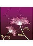 粉红花