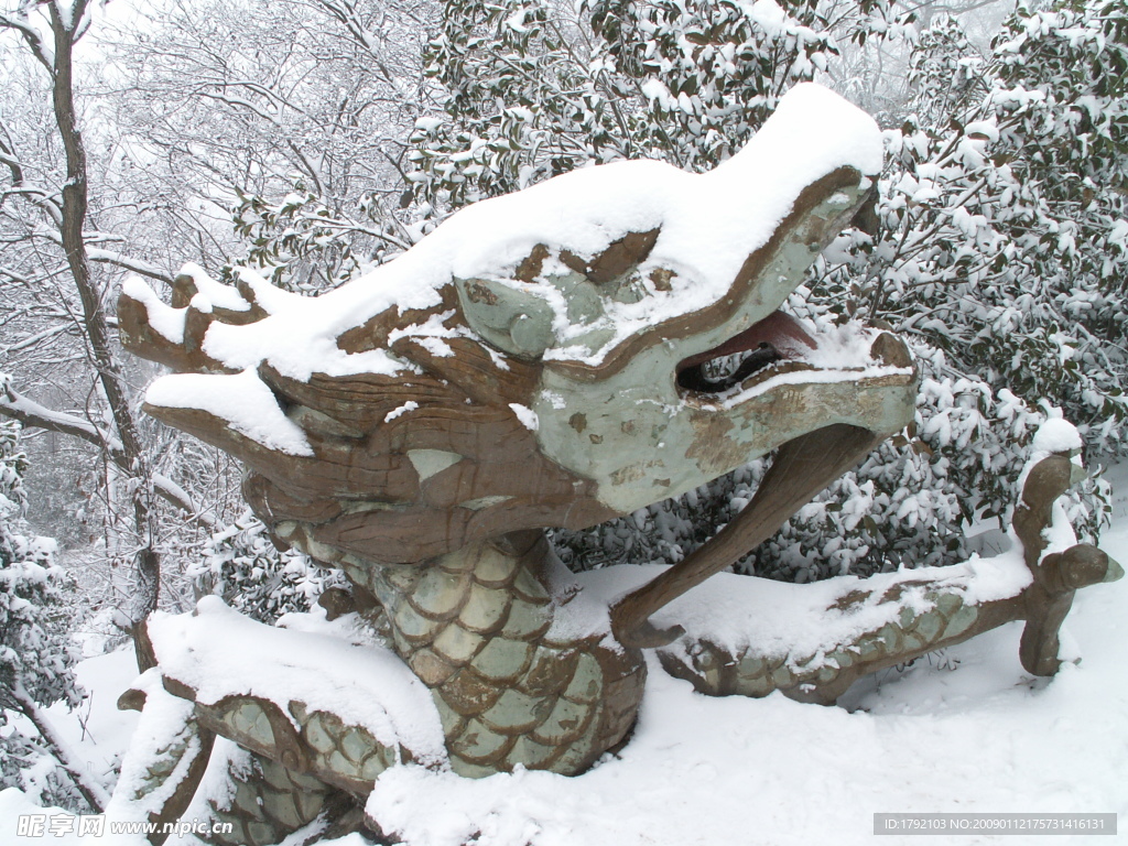 南京紫金山头陀岭雪景