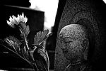 日本寺院佛像