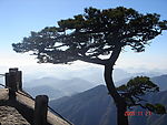黄山风景