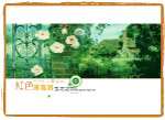 我们的爱情花园