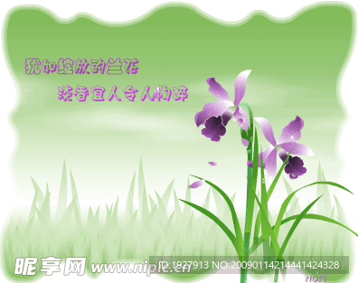 深山幽兰