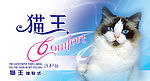 纸品包装2