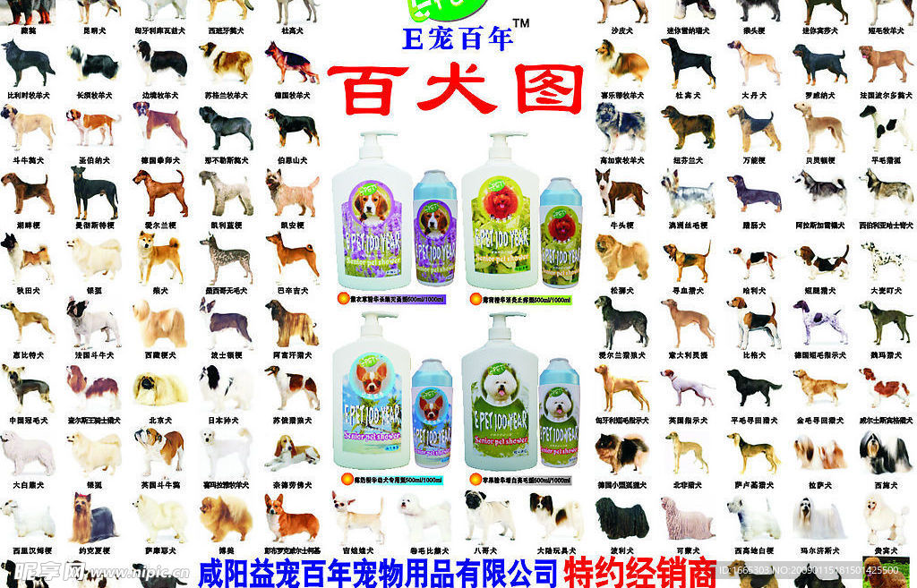 百犬图