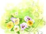 精明花纹 水墨画