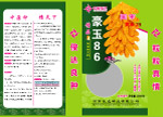 玉米种子包装