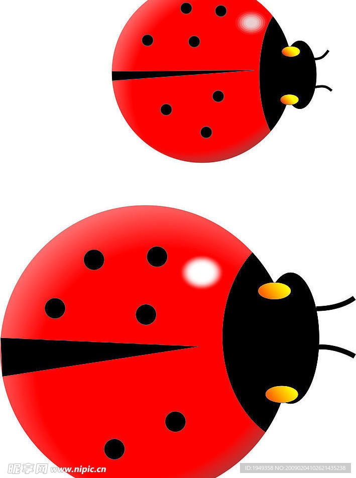 七星瓢虫