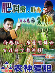 小神农肥料(海报)