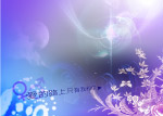 新桥恋人1