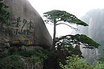 黄山迎客松