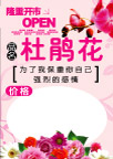 花绘价格板