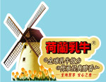 荷兰乳牛挺异形牌
