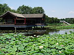 圆明园亭子