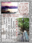 宋词