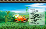 茶之功能