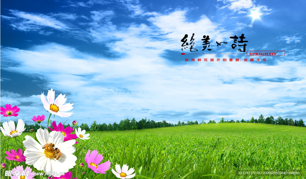 环境设计