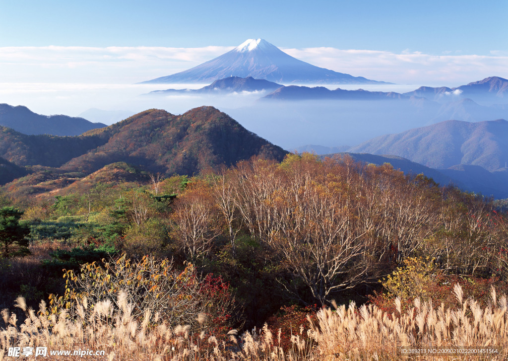 眺望富士山