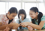 小学生活