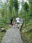 竹林小路