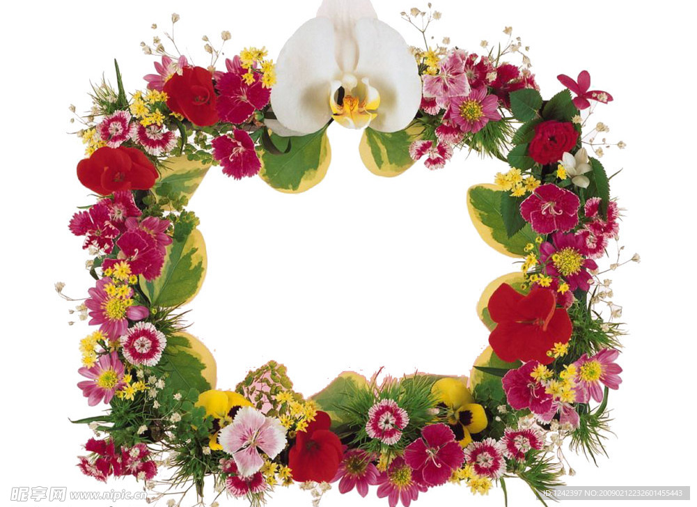 花草相框