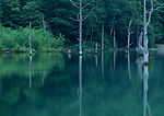 九寨风景
