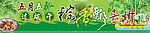 端午节粽子