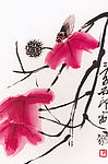 枫叶寒蝉