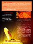 公司简介篇模板