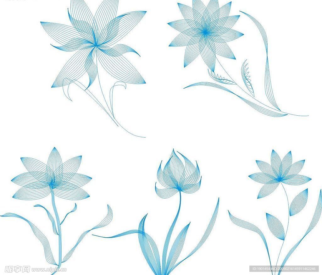 史量线描花