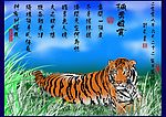 孤勇自赏