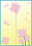 移门花纹