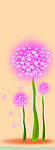 花语