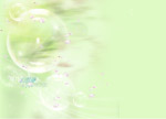 恋恋樱花