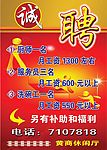 诚聘