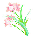 花