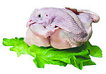 青菜鸡图