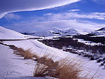 美洲雪景風光