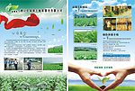 烟叶植物保护宣传单设计