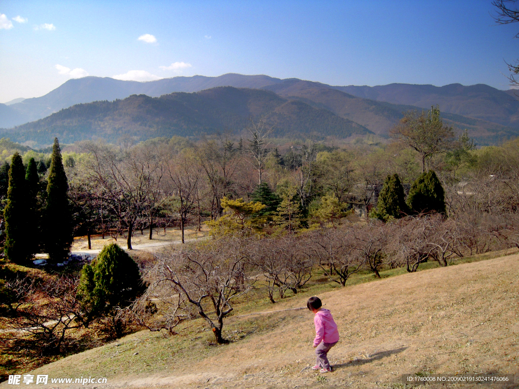 家乡美景