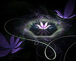 炫彩花卉1