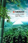 竹林