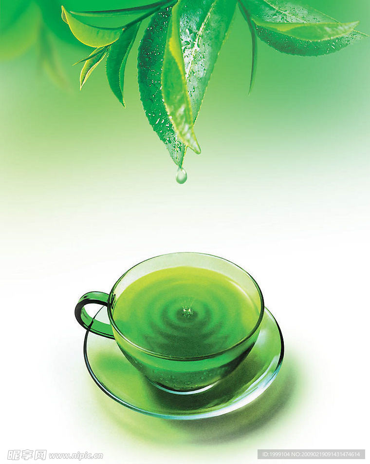 茶